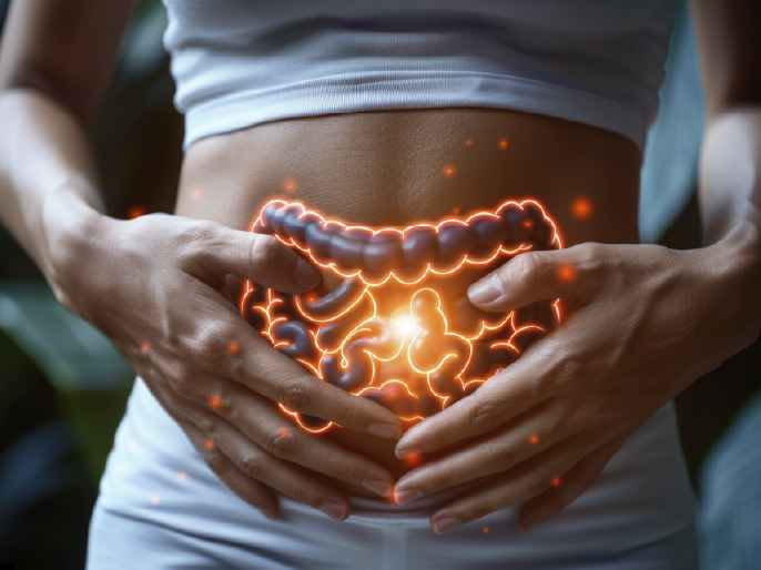 SIBO e IMO: o que são, diferenças, sintomas e como tratar